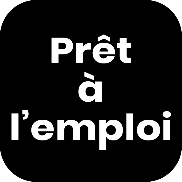 Picto PRET A L EMPLOI Français 02